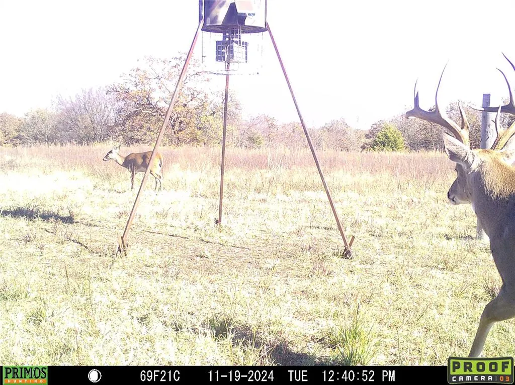 Photo 48 — 376098 E 990 Road, Okemah, OK 74859