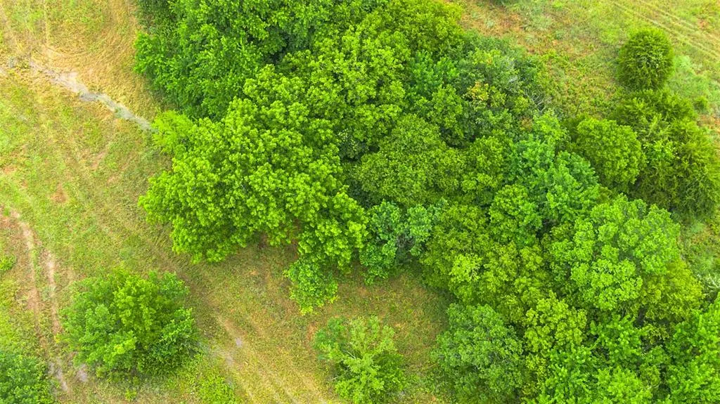 Photo 4 — 0 E 770 Road, Cushing, OK 74023