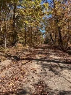 Photo 6 — 391 Freshwater Road, Broken Bow, OK 74728