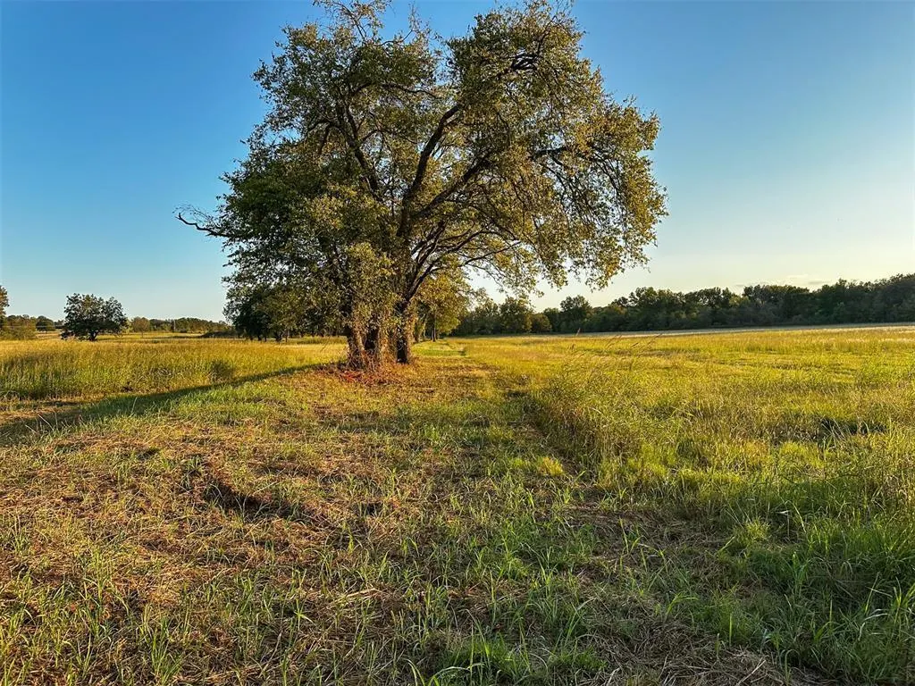 Photo 13 — 000 N 338 Road, Wanette, OK 74878