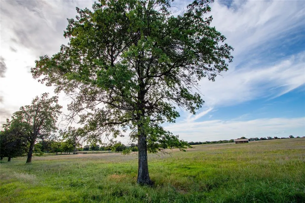 Photo 25 — 16965 Horse Avenue, Purcell, OK 73080