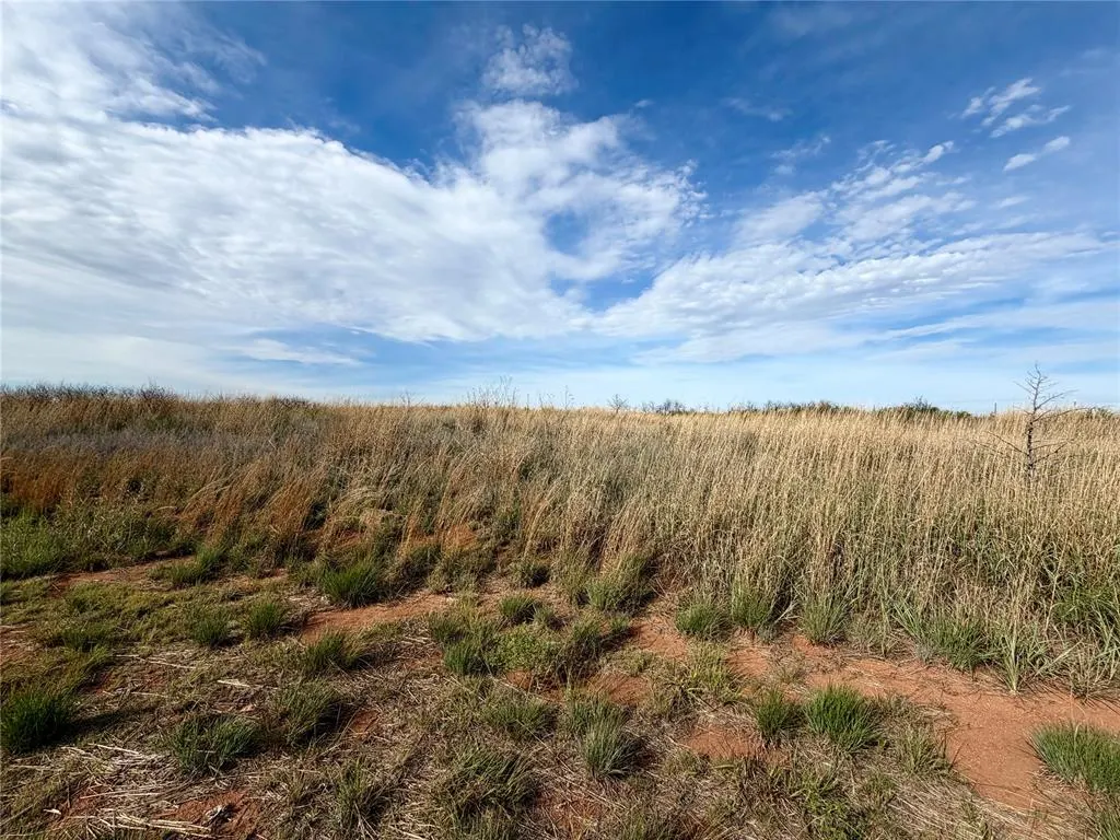 Photo 18 — 203128 E 780 Road, Leedey, OK 73654
