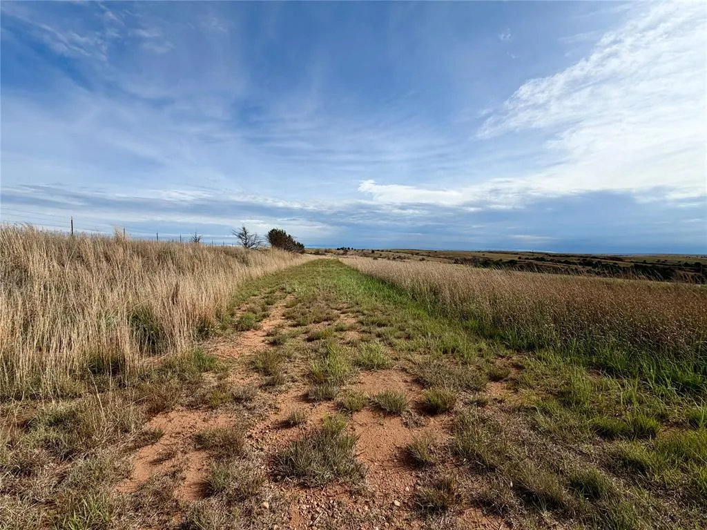 Photo 21 — 203128 E 780 Road, Leedey, OK 73654