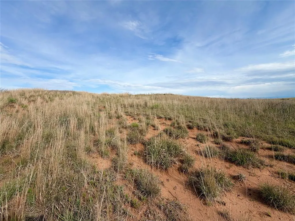 Photo 5 — 203128 E 780 Road, Leedey, OK 73654