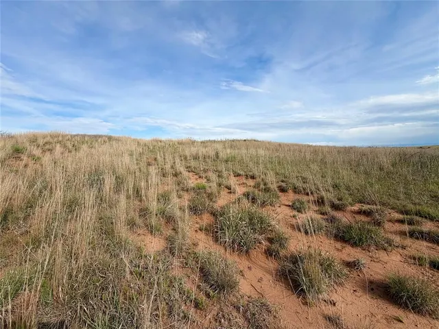 Photo 5 — 203128 E 780 Road, Leedey, OK 73654