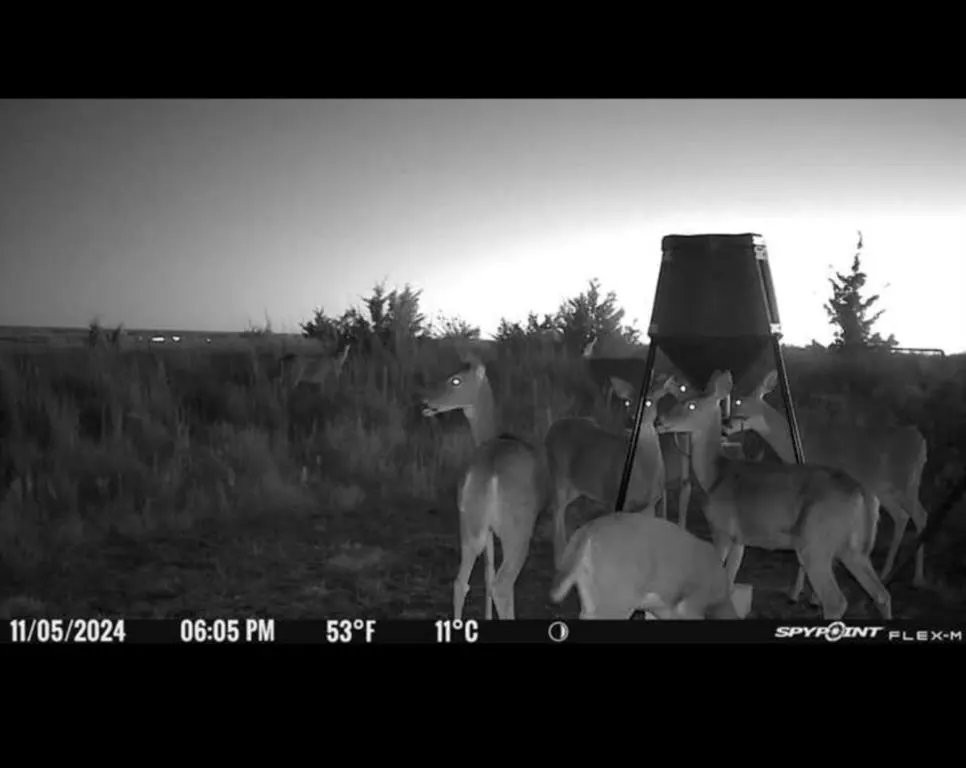 Photo 5 — 203128 E 780 Road, Leedey, OK 73654