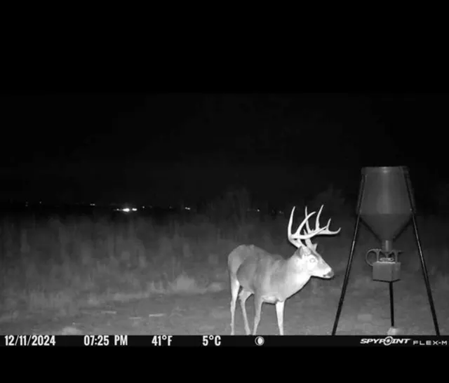 Photo 8 — 203128 E 780 Road, Leedey, OK 73654