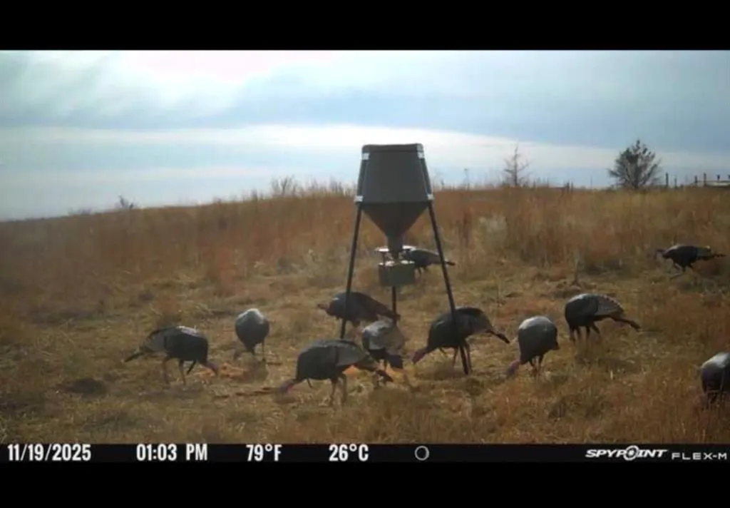 Photo 9 — 203128 E 780 Road, Leedey, OK 73654