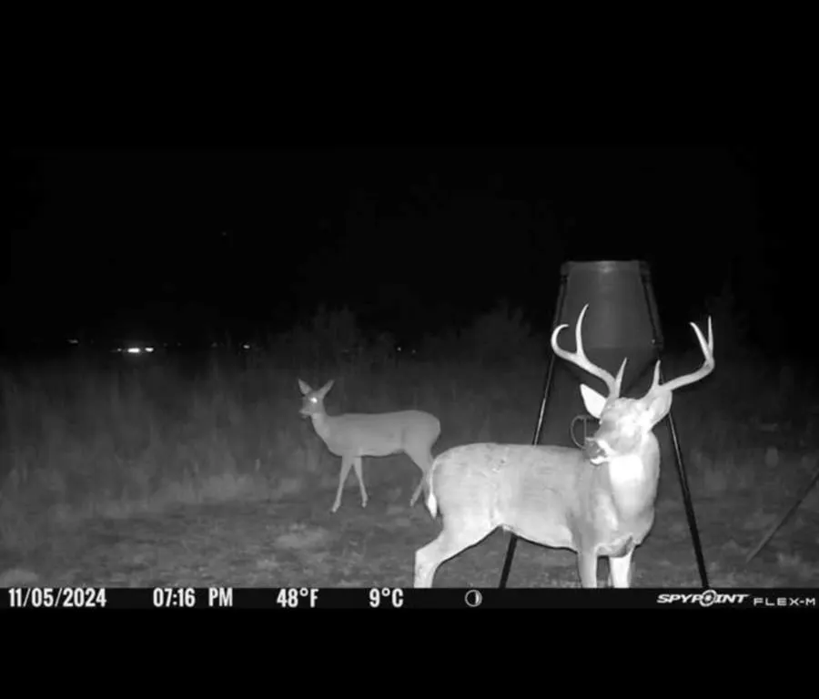 Photo 10 — 203128 E 780 Road, Leedey, OK 73654