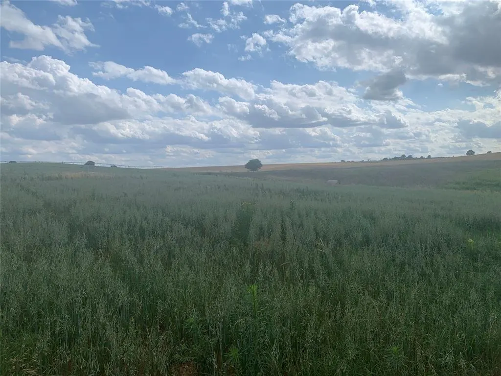 Photo 15 — 1140 W Sickles   CR 1140 Road, Lookeba, OK 73053