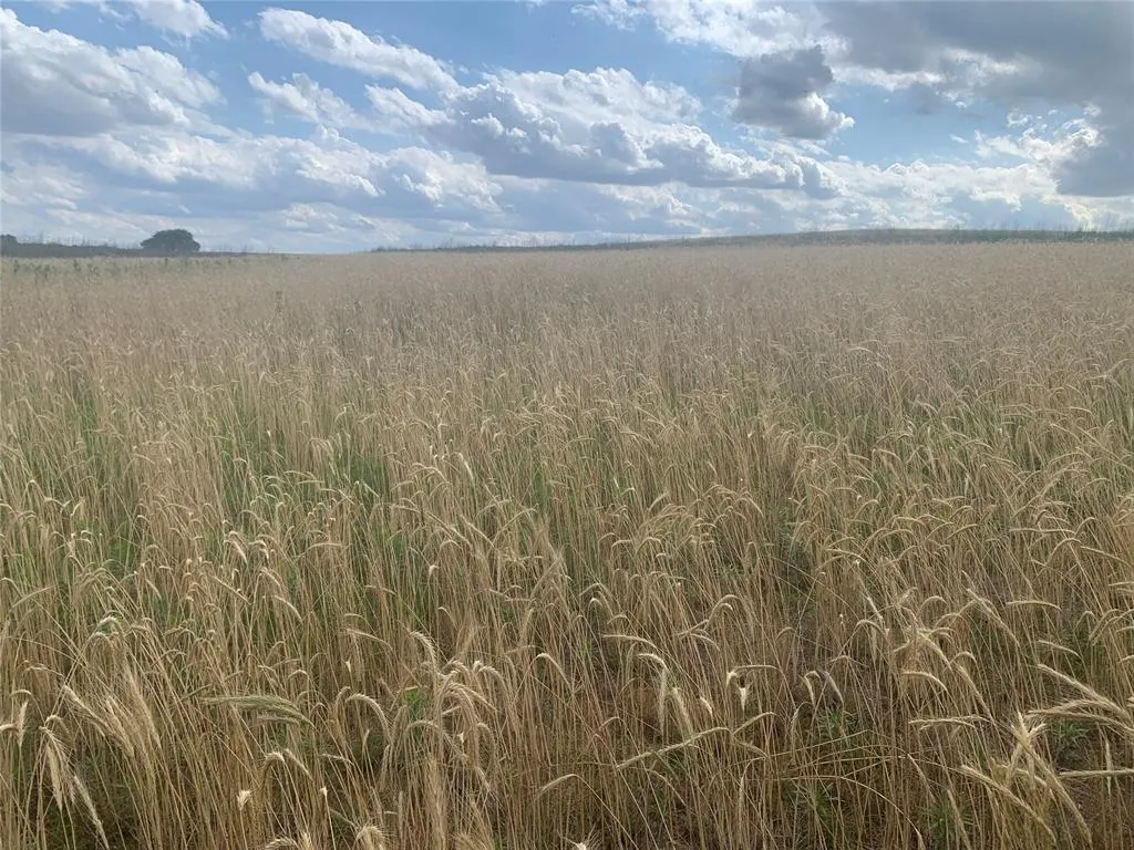 Photo 16 — 1140 W Sickles   CR 1140 Road, Lookeba, OK 73053