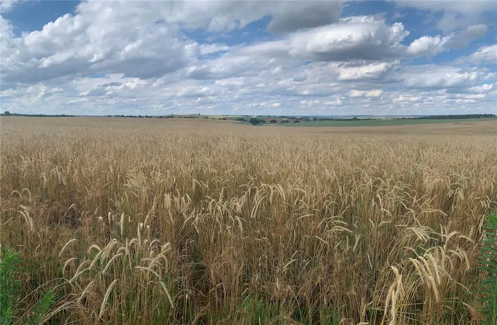 Photo 23 — 1140 W Sickles   CR 1140 Road, Lookeba, OK 73053