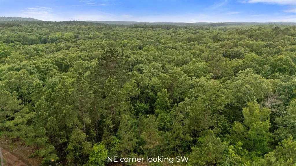 Photo 5 — 219 Lost Hazel Trail, Broken Bow, OK 74728