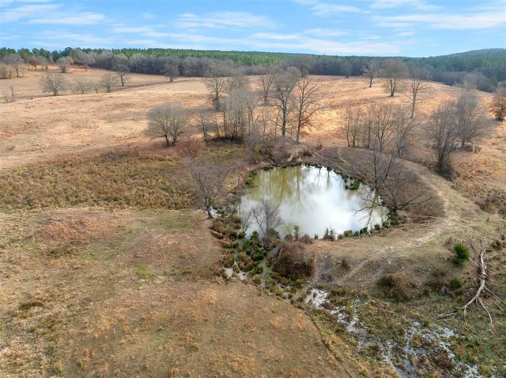 Photo 11 — 448 Wyr 56600 Road, Broken Bow, OK 74728