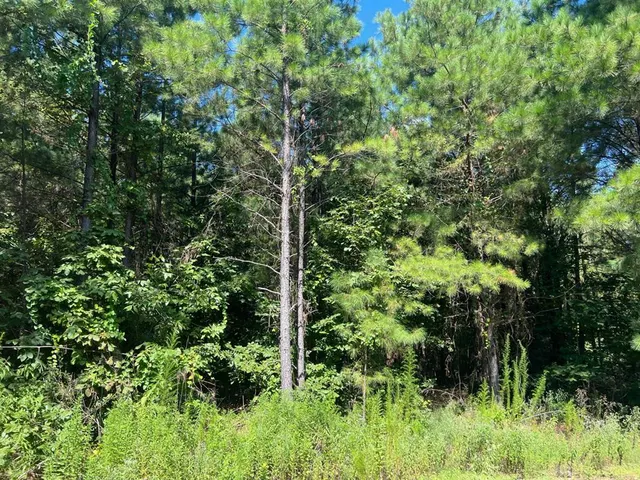Photo 3 — 53 Weathered Timber Trail, Broken Bow, OK 74728