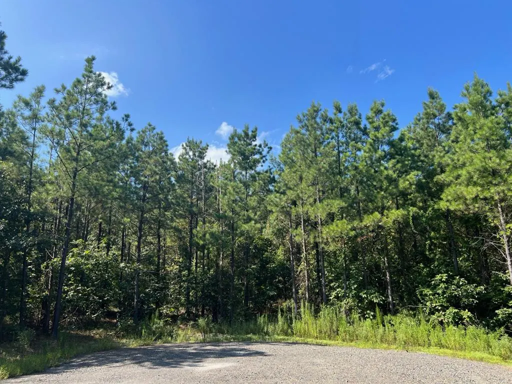 Photo 5 — 53 Weathered Timber Trail, Broken Bow, OK 74728