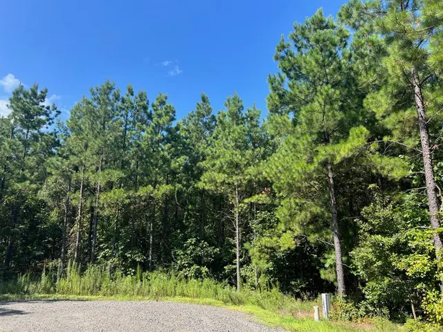 Photo 6 — 53 Weathered Timber Trail, Broken Bow, OK 74728