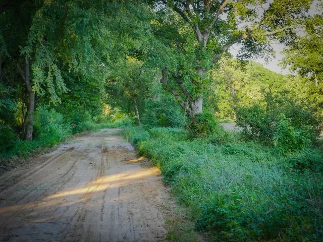 Photo 8 — 385051 EW 1150 Road, Weleetka, OK 74880