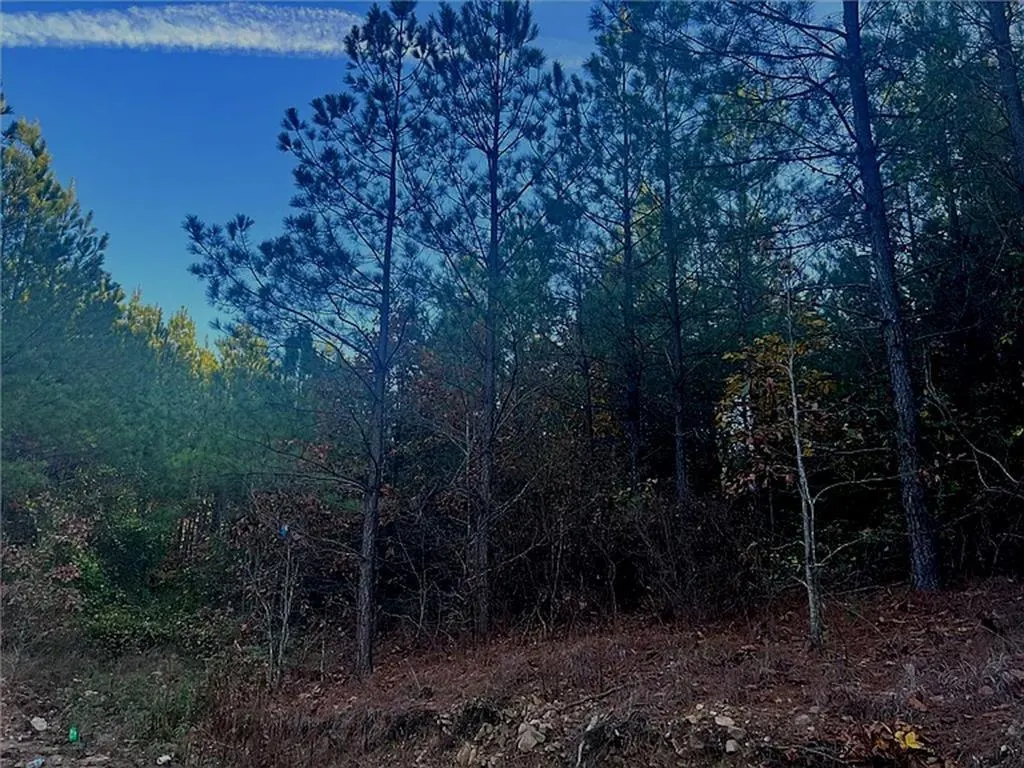 Front exterior — 160 Red Fern Trail, Broken Bow, OK 74728