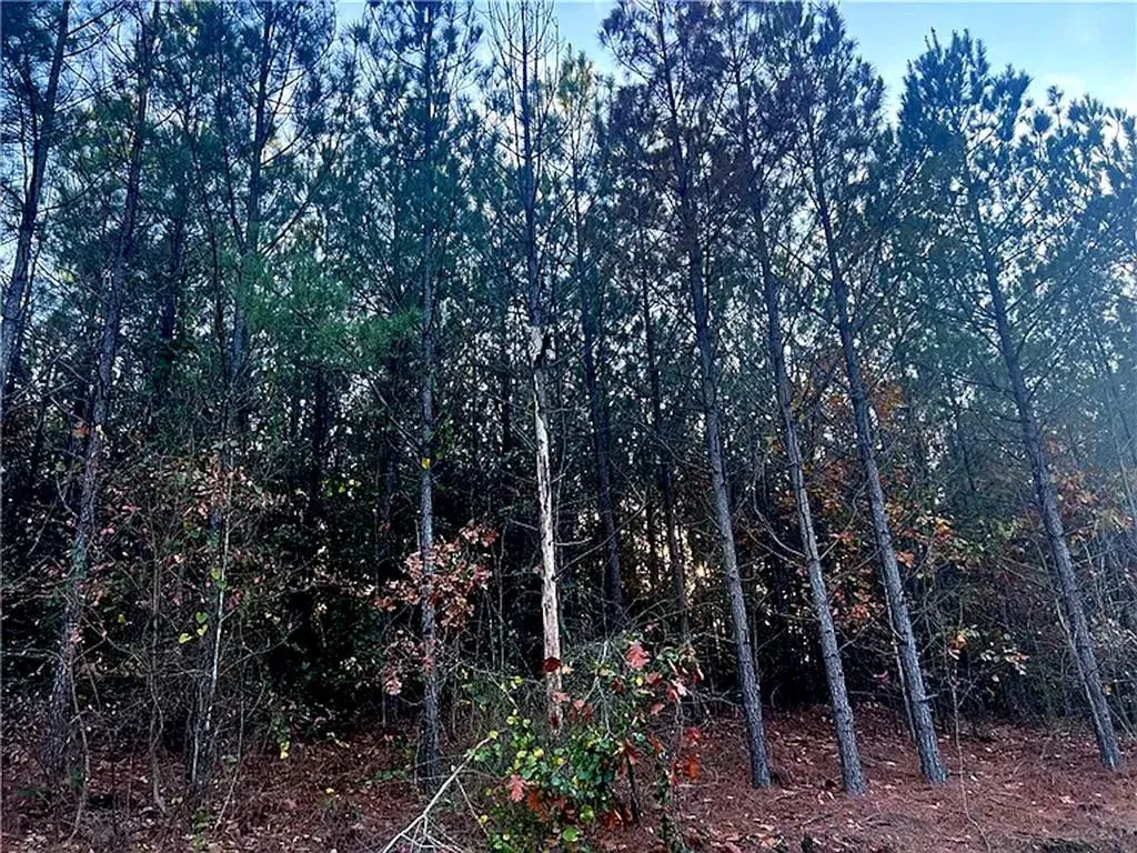 Photo 2 — 160 Red Fern Trail, Broken Bow, OK 74728