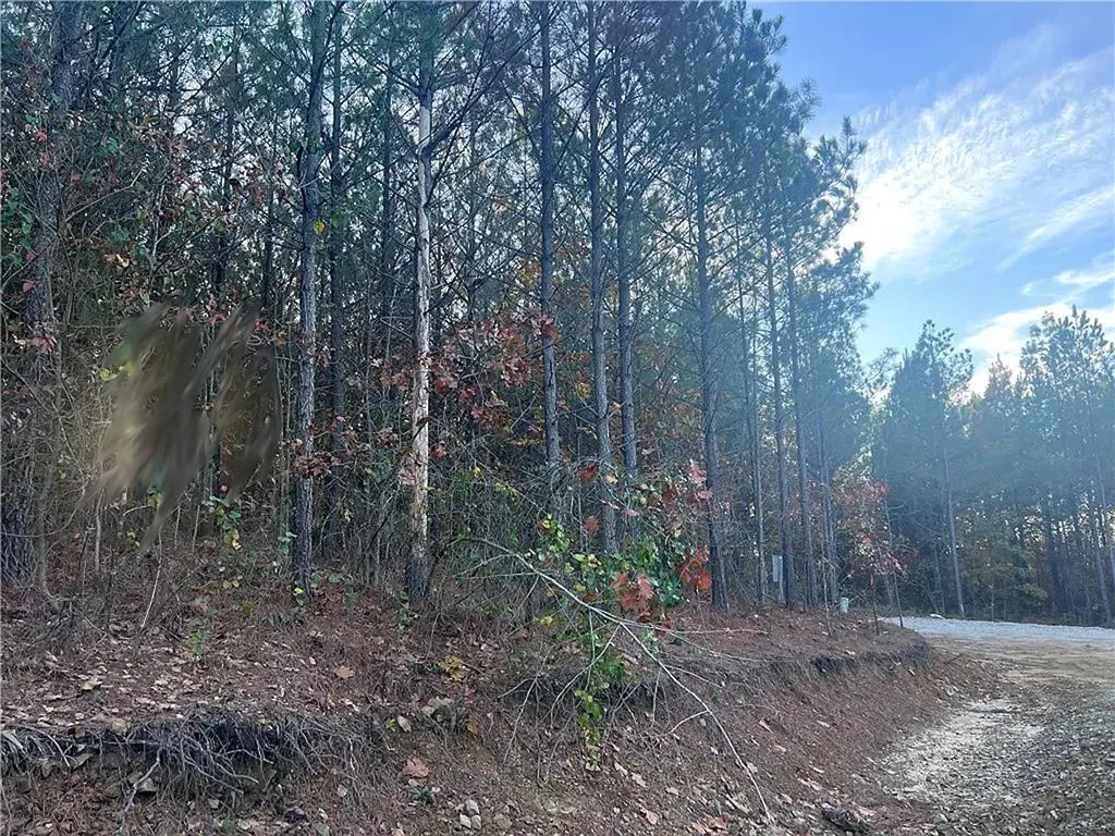 Photo 3 — 160 Red Fern Trail, Broken Bow, OK 74728