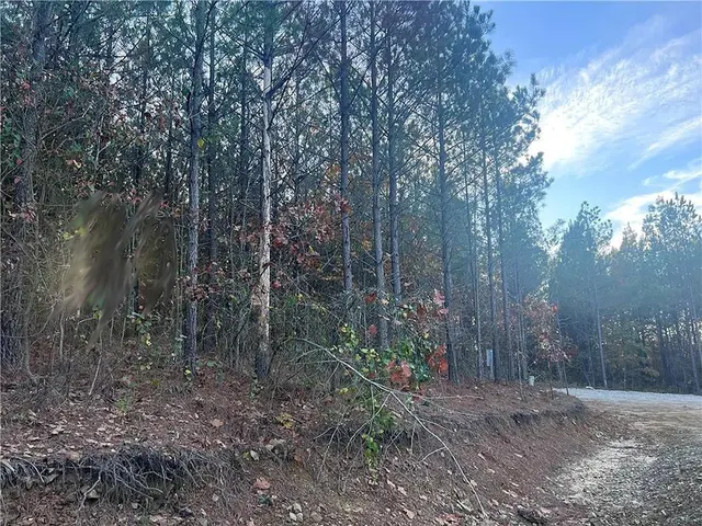 Photo 3 — 160 Red Fern Trail, Broken Bow, OK 74728