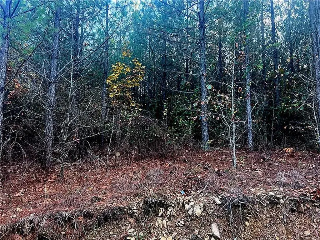 Photo 5 — 160 Red Fern Trail, Broken Bow, OK 74728