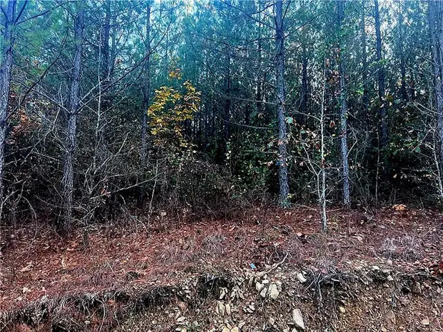 Photo 5 — 160 Red Fern Trail, Broken Bow, OK 74728