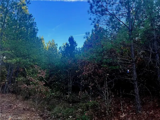 Photo 6 — 160 Red Fern Trail, Broken Bow, OK 74728