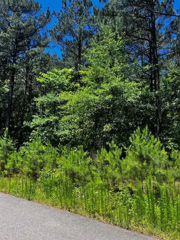 Photo 3 — 83 Pleasant Cypress Trail, Broken Bow, OK 74728