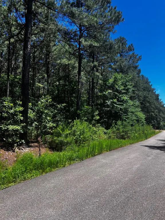 Photo 4 — 83 Pleasant Cypress Trail, Broken Bow, OK 74728