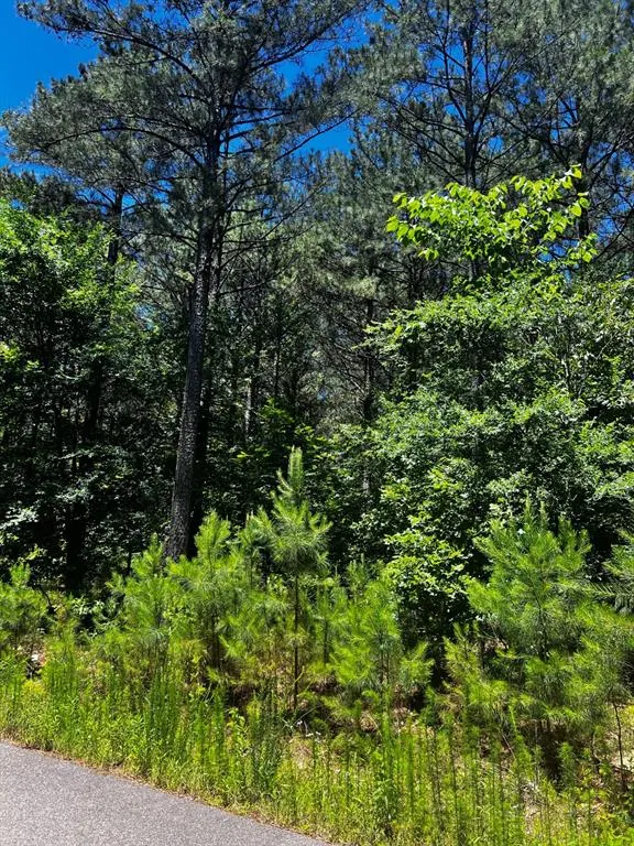 Photo 5 — 83 Pleasant Cypress Trail, Broken Bow, OK 74728