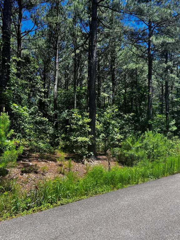 Photo 6 — 83 Pleasant Cypress Trail, Broken Bow, OK 74728