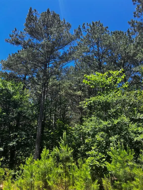 Photo 7 — 83 Pleasant Cypress Trail, Broken Bow, OK 74728