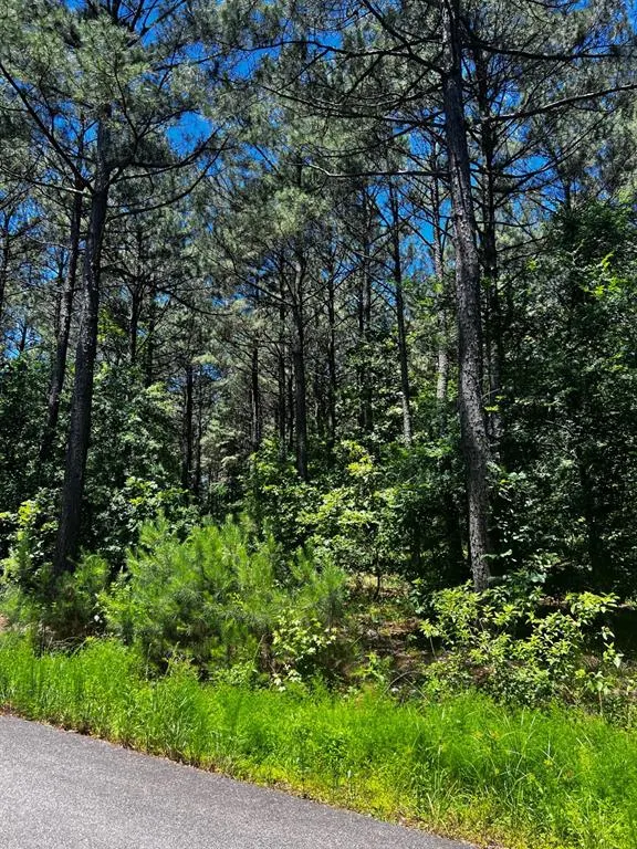 Photo 8 — 83 Pleasant Cypress Trail, Broken Bow, OK 74728