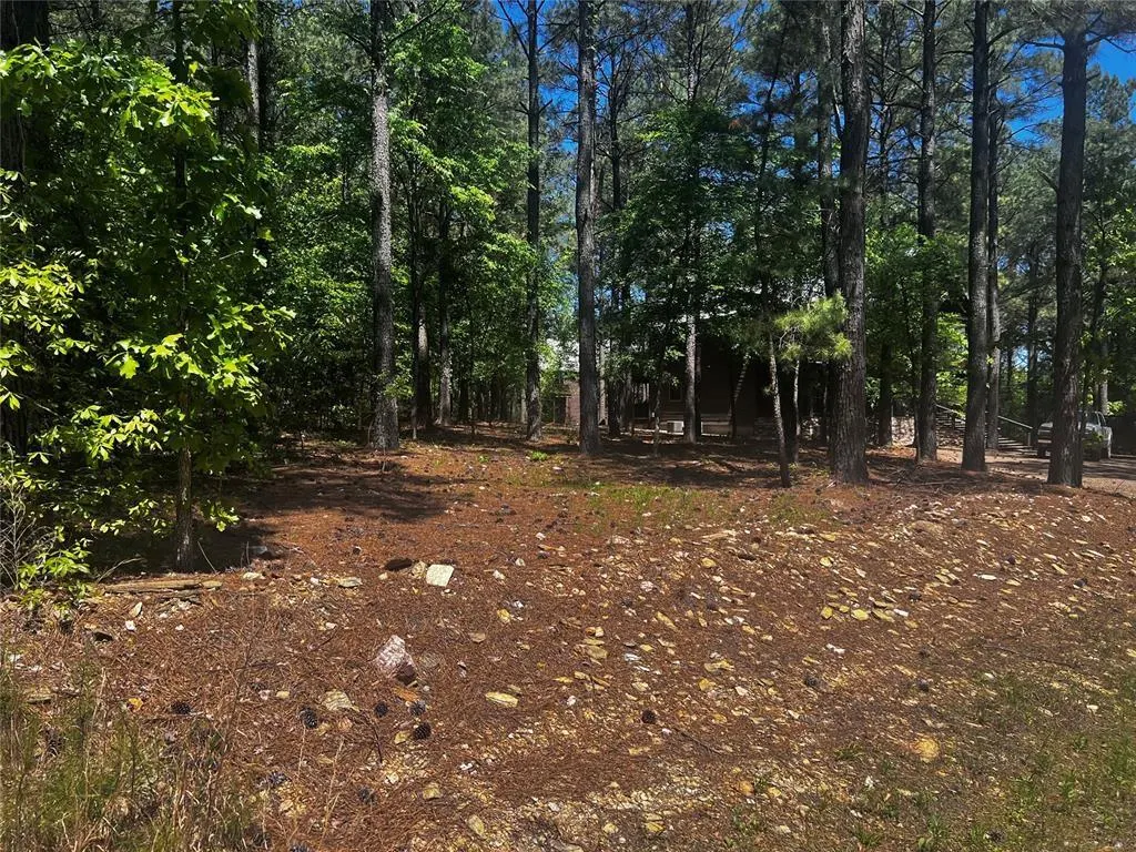 Photo 9 — 83 Pleasant Cypress Trail, Broken Bow, OK 74728