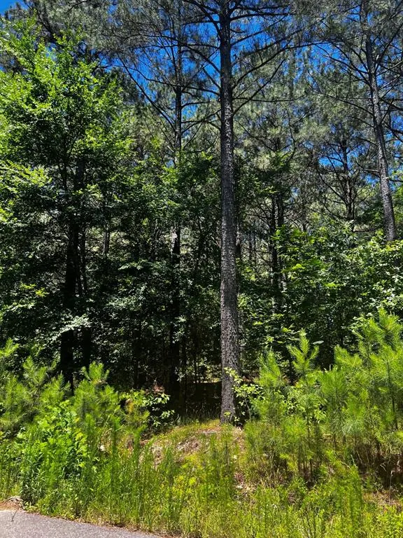 Photo 10 — 83 Pleasant Cypress Trail, Broken Bow, OK 74728