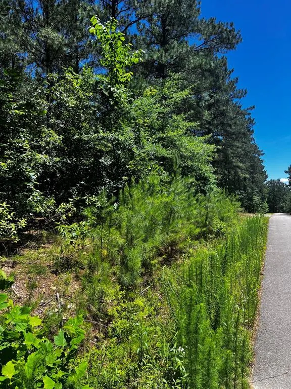 Photo 11 — 83 Pleasant Cypress Trail, Broken Bow, OK 74728