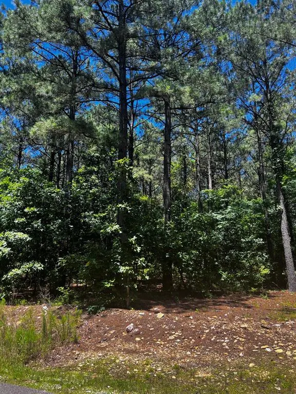 Photo 12 — 83 Pleasant Cypress Trail, Broken Bow, OK 74728
