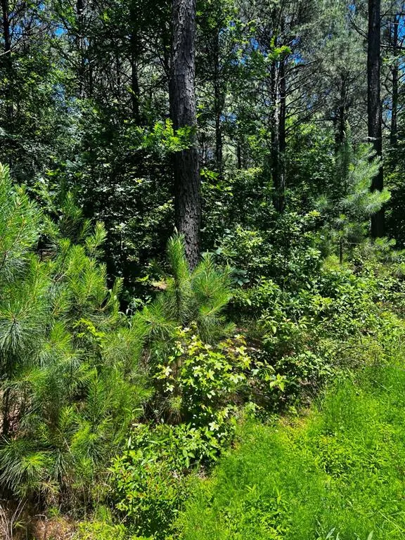 Photo 13 — 83 Pleasant Cypress Trail, Broken Bow, OK 74728