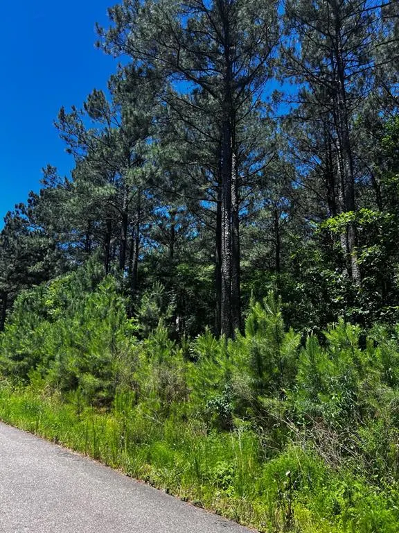 Photo 14 — 83 Pleasant Cypress Trail, Broken Bow, OK 74728