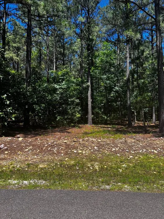 Photo 15 — 83 Pleasant Cypress Trail, Broken Bow, OK 74728