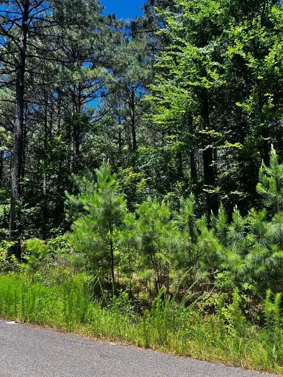 Photo 18 — 83 Pleasant Cypress Trail, Broken Bow, OK 74728