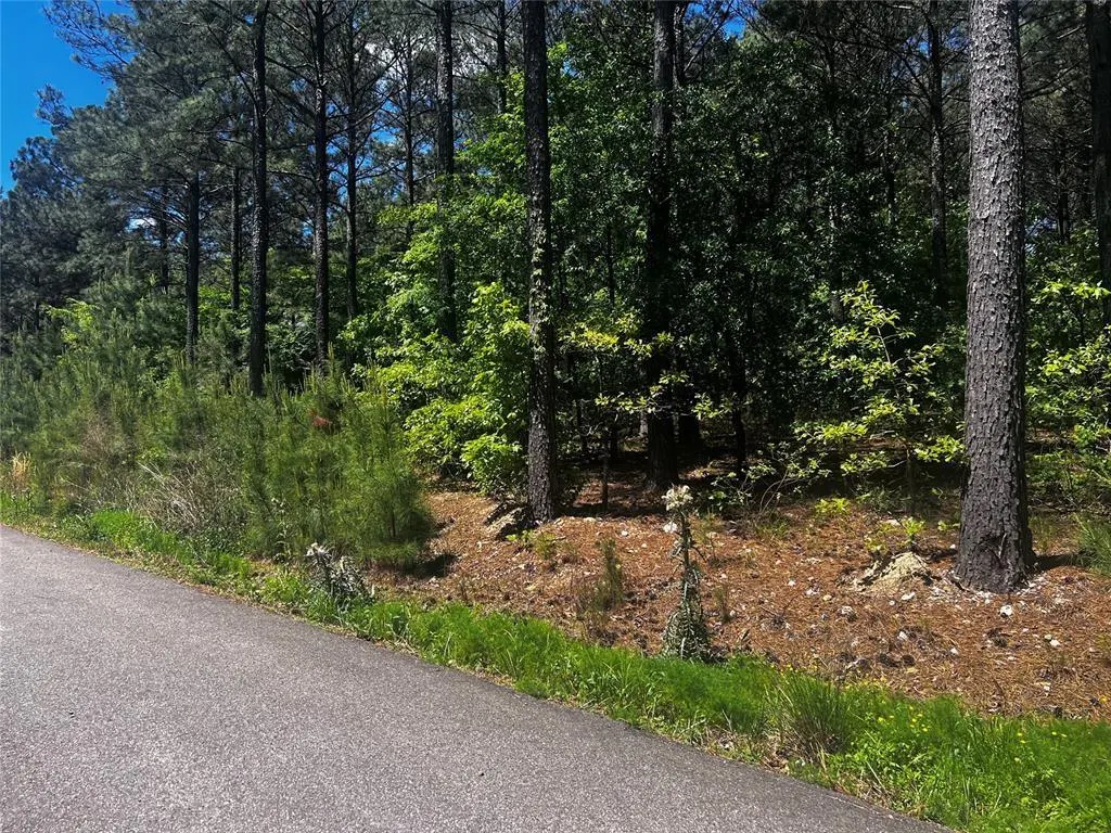 Photo 19 — 83 Pleasant Cypress Trail, Broken Bow, OK 74728