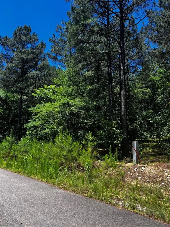 Photo 20 — 83 Pleasant Cypress Trail, Broken Bow, OK 74728