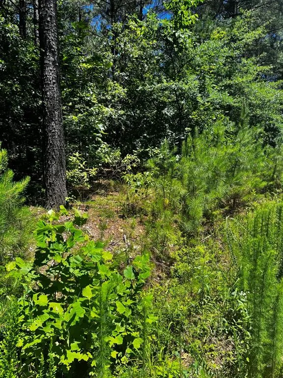 Photo 21 — 83 Pleasant Cypress Trail, Broken Bow, OK 74728