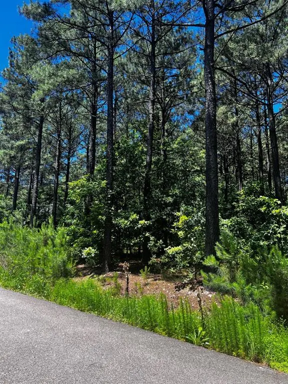 Photo 23 — 83 Pleasant Cypress Trail, Broken Bow, OK 74728