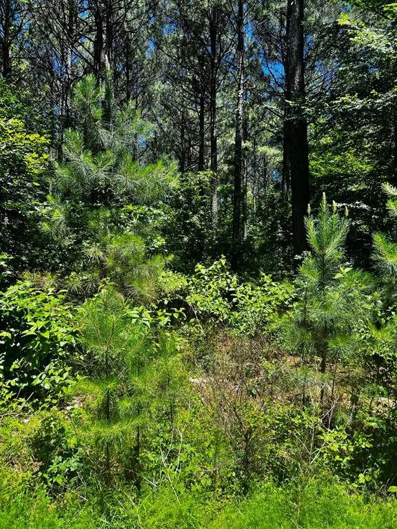 Photo 24 — 83 Pleasant Cypress Trail, Broken Bow, OK 74728