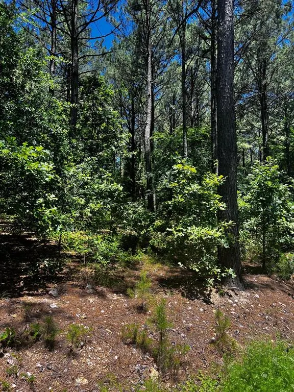Photo 25 — 83 Pleasant Cypress Trail, Broken Bow, OK 74728