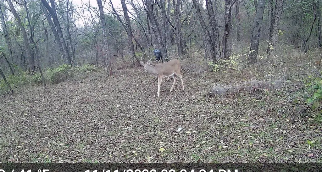 Photo 46 — 342302 E 1070 Road, Meeker, OK 74855